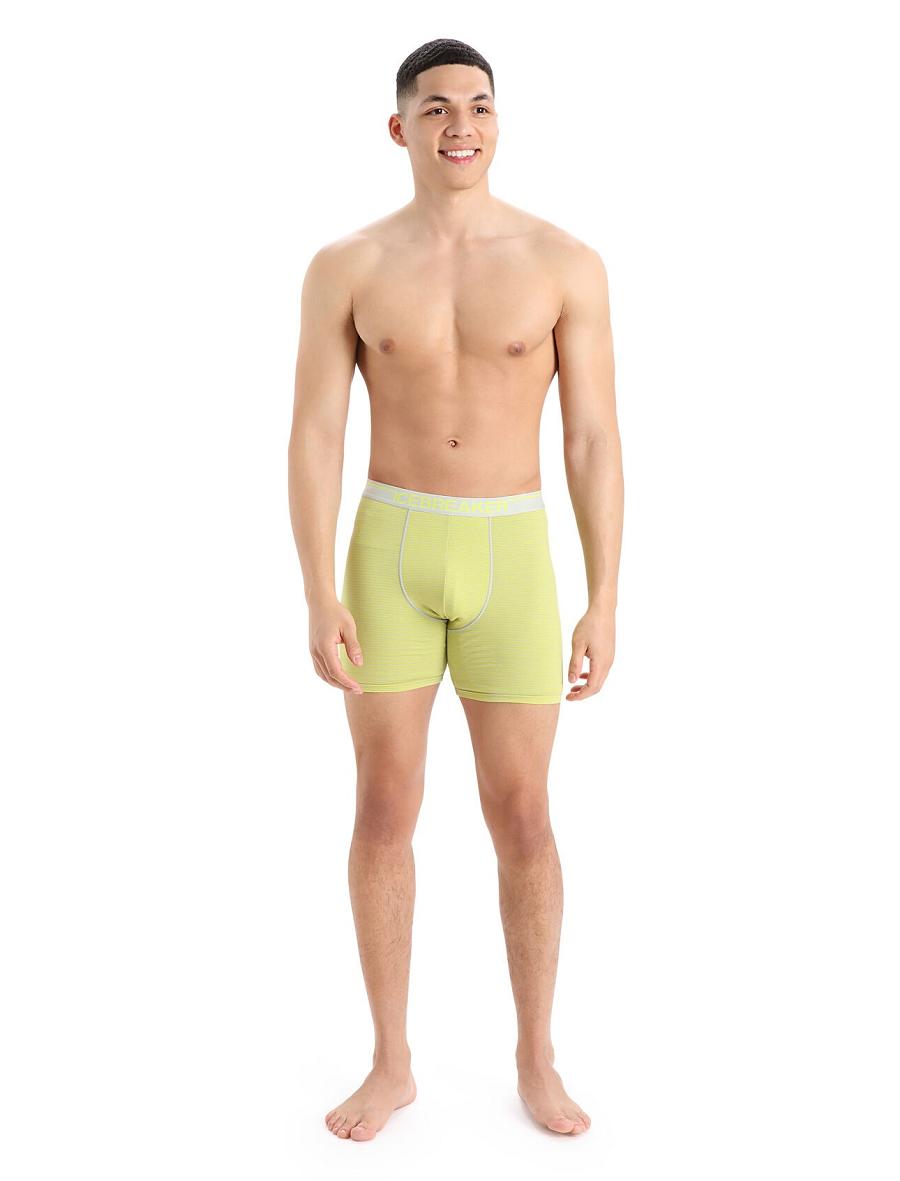 Ether / Shine Icebreaker Merino Anatomica Long Boxers Men's Underwear | AU 1283UZGT